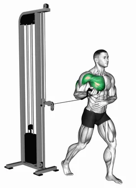 Cable Standing Single Arm Supinated Grip Chest Press demo