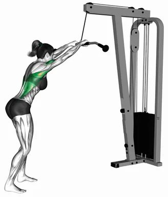Cable straight arm pulldown II demo