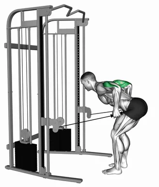 Cable Two Arm Tricep Kickback demo