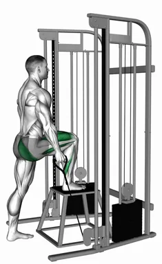 Cable Unilateral Step-up demo