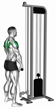 Cable Upright Row (rope attachment) demo