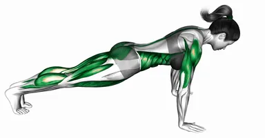 Chaturanga Pose demo