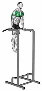 Chest Dip on Pull up Bar demo