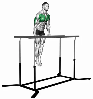 Chest Dip on Straight Bar demo
