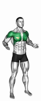 Chest Fly and Push-Up demo