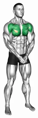 Chest Pressdown demo