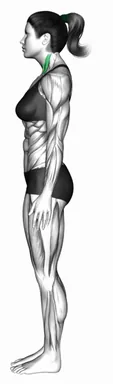 친 턱 자세 시연