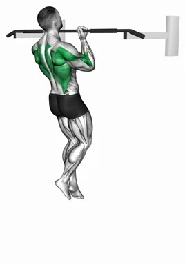 친업 아이소메트릭 앤 네거티브 자세 시연