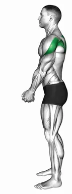 Clasp Hands Shoulder Forward Roll demo