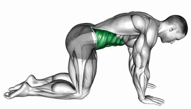 Cow Stretch demo