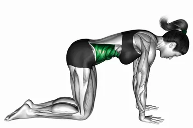 Cow Yoga Pose Bitilasana demo