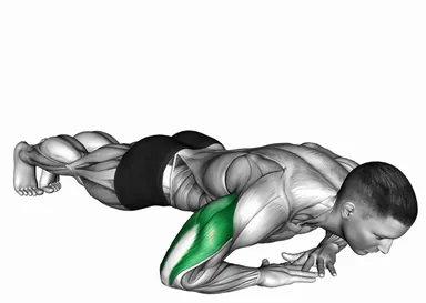 Cross Arms Triceps Extension demo