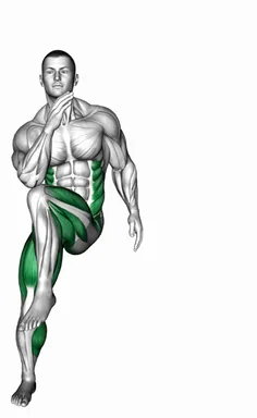 Cross Body Elbow to Knee Side to Side Hop demo