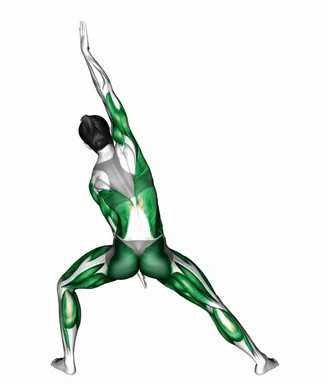 댄서 벤드 자세 시연