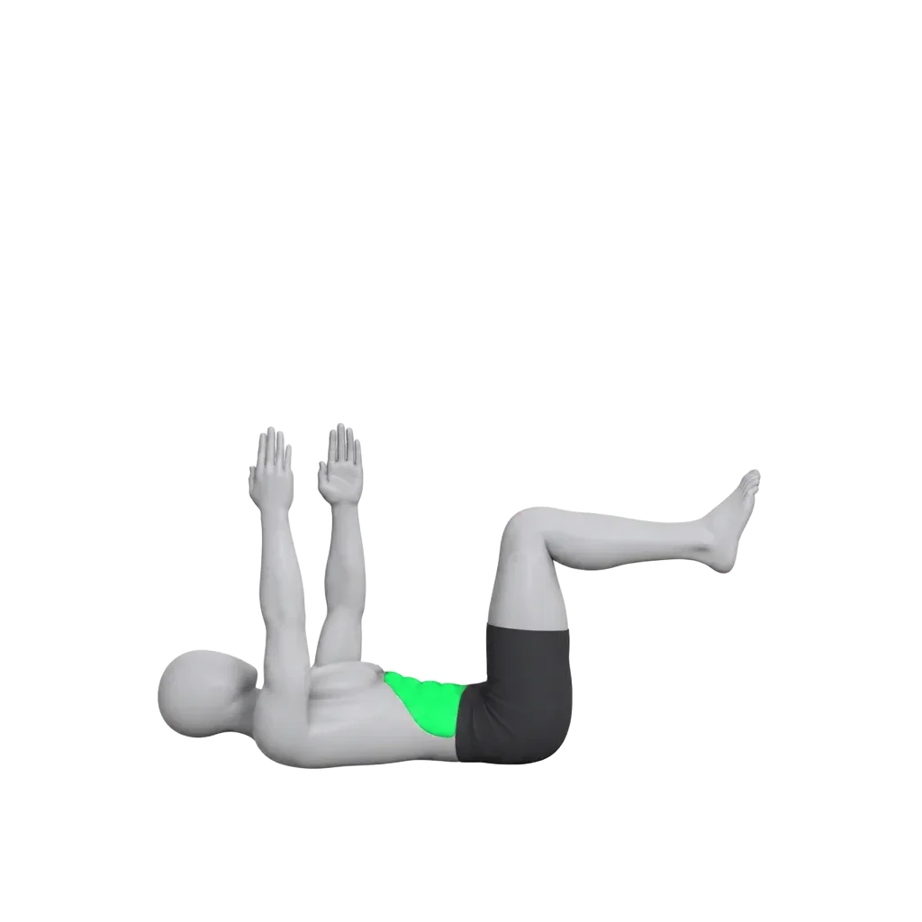 데드 버그 자세 시연