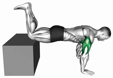 Decline Kneeling Push-up on Box demo