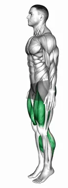 딥 니 벤드 자세 시연