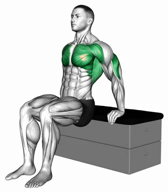 Dip a padded stool Supported demo