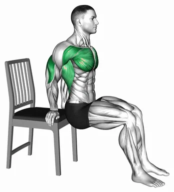Dip Bent Knees with Chair demo