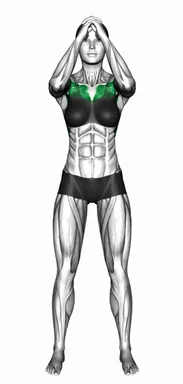Double Elbow Raise and Double Elbow Clap demo