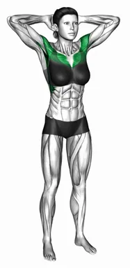 더블 펄스 엘보 플라이 자세 시연