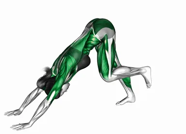 다운독 힙 서클 자세 시연