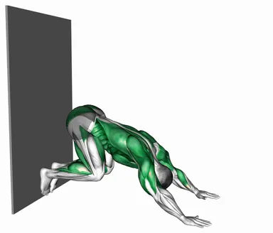 Downward Dog Push-Up against Wall demo