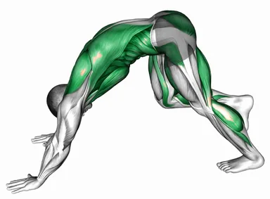 Downward Dog Sprint demo