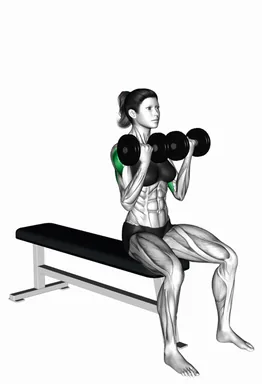 Dumbbell Seated Arnold Press demo