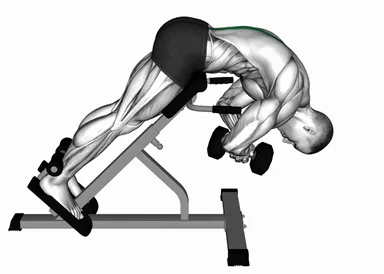 Dumbbell 45 degrees Back Extension demo