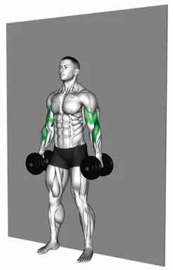 Dumbbell Alternate Strict Hammer Curl demo