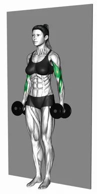 Dumbbell Alternate Hammer Strict Curl (Demo 2) demo
