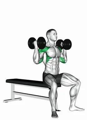 Dumbbell Arnold Press II demo