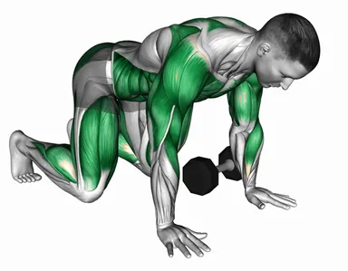 Dumbbell Bear Plank Pass Through demo