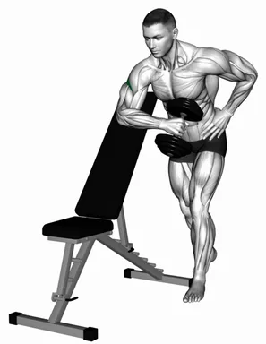 Dumbbell Bench Supported External Rotation demo