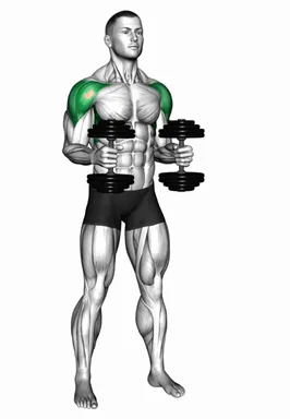 Dumbbell Bent Arm Lateral Raise demo