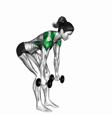Dumbbell Bent Over Back to Side to Front Arms Raise demo