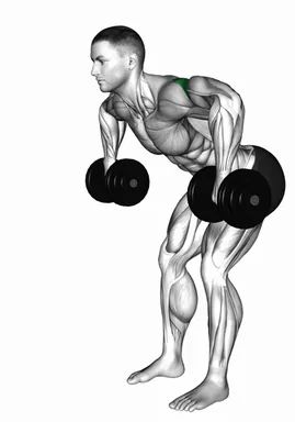 Dumbbell Bent Over External Rotation demo