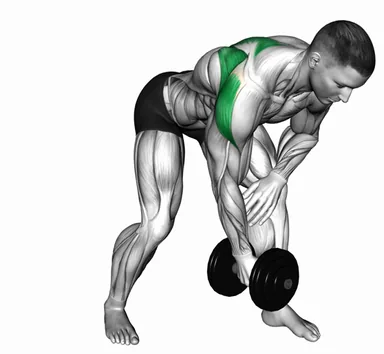 Dumbbell Bent Over Single Arm Lateral Raise demo