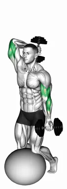 Dumbbell Biceps Curl with Overhead Extension on Stability Ball demo