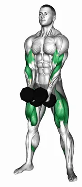 Dumbbell Biceps Curl Squat demo
