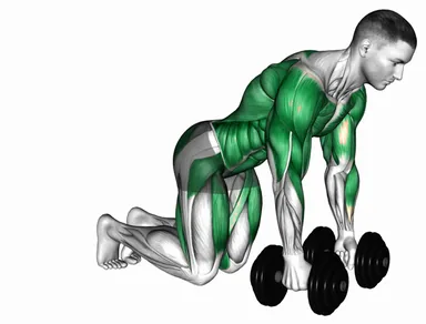 Dumbbell Bird Dog Row demo
