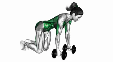 Dumbbell Bird Dog demo