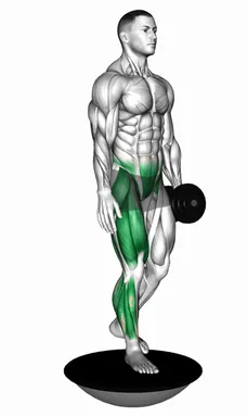 Dumbbell Bosu Ball Single Leg Deadlift demo
