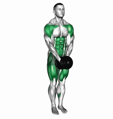 Dumbbell Lateral Raise Curtsy Lunge demo