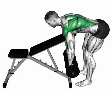 Dumbbell Chest Supported Row demo