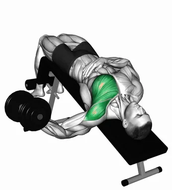 Dumbbell Decline One Arm Fly demo
