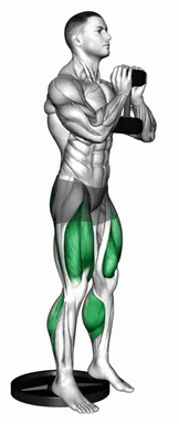 Dumbbell Elevated Heel Goblet Squat (VERSION 2) demo