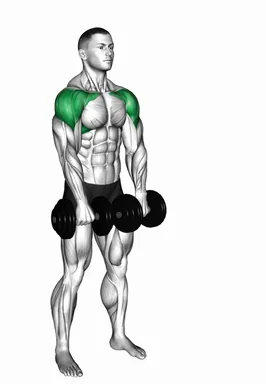 Dumbbell Empty Can Exercise demo