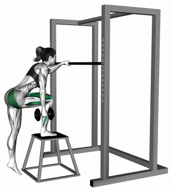 Dumbbell Glute Dominant Step-Up demo